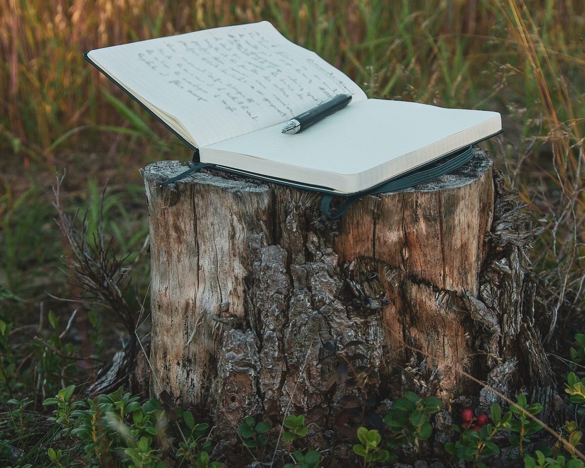Handwritten poetry book resting on a stump outside.